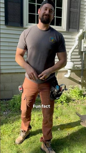 Where does Radon come from?