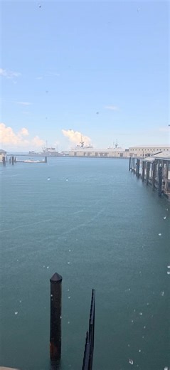 2K views · 44 reactions | Just a little liquid Key West sunshine to brighten up your day! Keywestexpress.net | Key West Express | Facebook