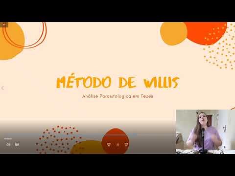 Técnica de Willis