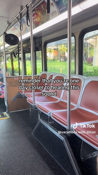 Discover Disney World Buses: Your Next Adventure Awaits