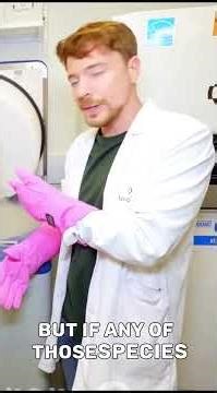 Bringing Back the Woolly Mammoth: A Look Inside De-Extinction Technology