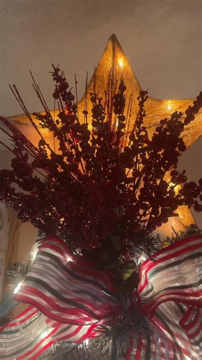 Merry Christmas everyone. Lord, we are grateful for your blessings. 🙏#jspeights0510#christmas2025 #christmas