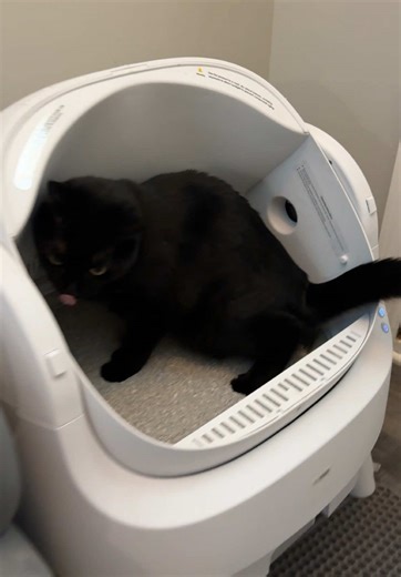 Safe and Easy Automatic Cat Box for Pet Owners