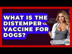 What Is The Distemper Vaccine For Dogs? - Ask A Pet Vet