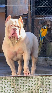 Ingrid De Sousa on Reels