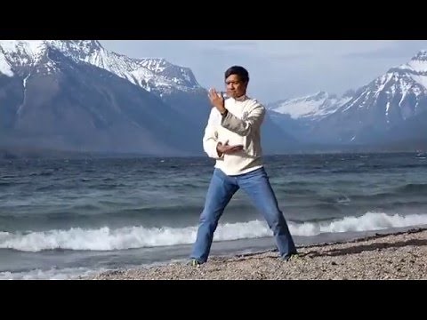 QIGONG FOR HEALTH Flying Phoenix Heavenly Healing Chi Meditation (Long Form) by Sifu Terence Dunn