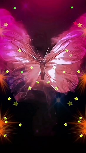 Beautiful Animated Butterflies in Starry Space