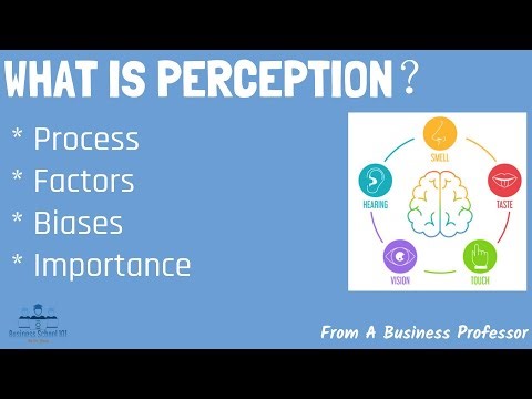 5 Most Common Types of Perceptual Biases in the Workplace | From A Business Professor