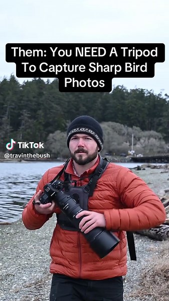 Join Me for a Bird Photography Walk Experience