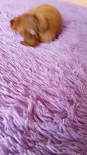 Cuentas recomendadas