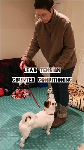 Changing the emotions to lead tension. Reactive dogs