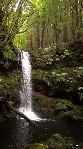 Terceira island Discover with us this beautiful island in Azores Beautiful Destinations