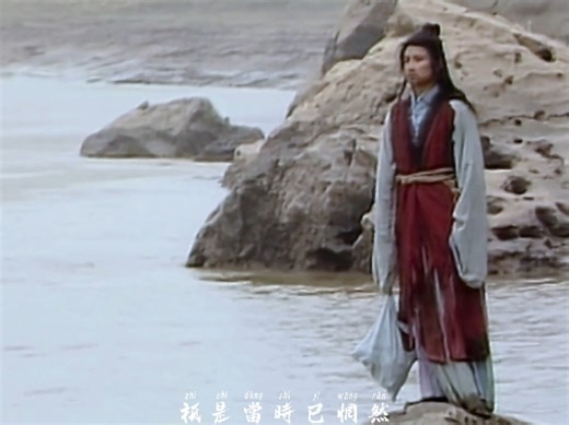 好一似食尽鸟投林，落了片白茫茫大地真干净。