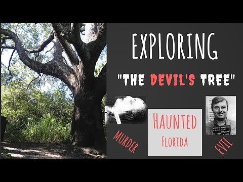The Devils Tree, Oak Hammock Park Port St Lucie Florida