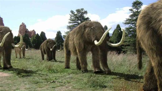 Watch scientists try to bring an extinct animal back to life