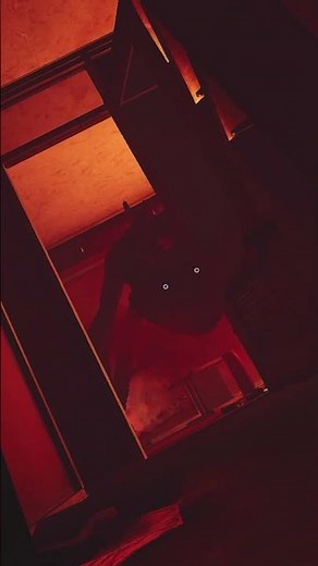 CatNap Jumpscare (Poppy Playtime Mobile)