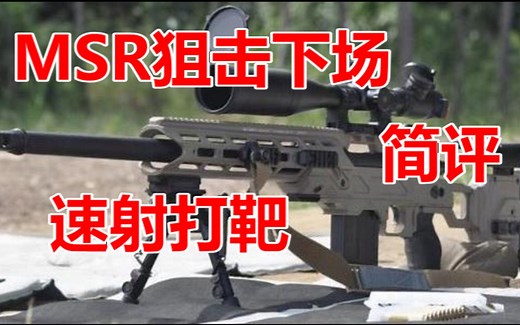 补档【Wargame黑猫第126期】捷鹰MSR下场,简评,速射打靶