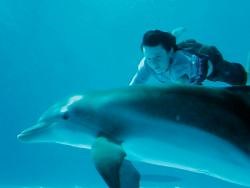 Dolphin Tale 2 - The perfect companion for Winter