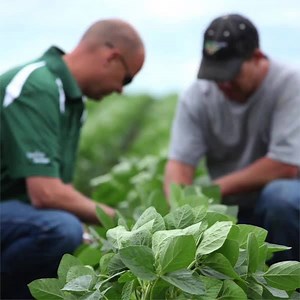 70K views · 241 reactions | We are determined to transform what’s possible in food, agriculture and nutrition while living our values. | Cargill | Facebook