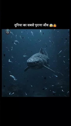 The Oldest Living Creature On Earth! 🦈🌊