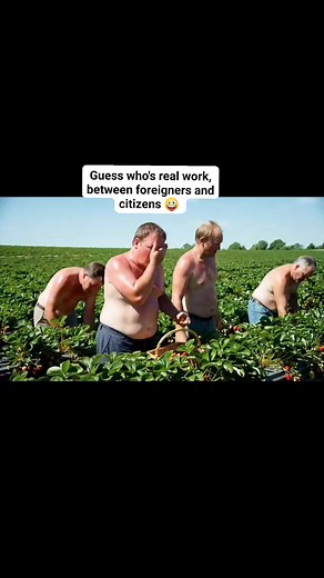 When citizens think they can make it without foreigners, @highlight | Rich Rich