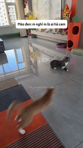 121K views · 1.9K reactions | #FunniestAnimals | Funniest Animals | Facebook