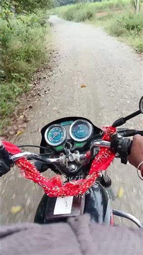 🌆 A Day in Modern America | Street Life & Culture 🇺🇸