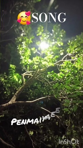 yaanji song❤️ #song #love