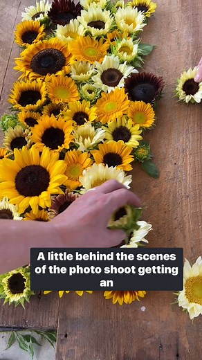 7.8K views · 38 reactions | Making a book cover image. I had no idea...