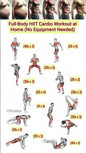 Full-Body Cardio Workout at Home (No Equipment Needed) #shorts #hiit #cardio