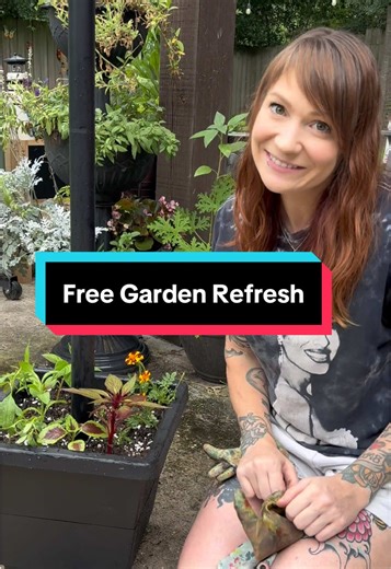 Free Garden Refresh: Divide & Conquer Planters