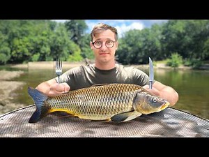 Caught a Carp and Ate It! Carp Catch and Cook