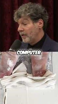 The 'Video Game' Theory of Evolution 🎮