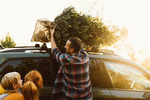 How to buy a quality real Christmas tree without breaking the bank
