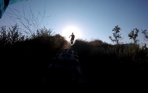 Aliso and Wood Canyons Wilderness Park