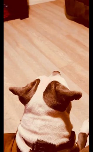 Protective Mode (Watch Em)