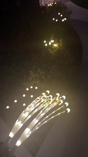 Firefly led garden lights https://geni.us/MNlp #garden #amazonfinds2023🔥 #amazonfinds2023 #commissionsearned #amazon #review #outdoors #ledlights #gardening #gardendesign #gardenlights
