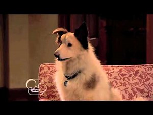 EXCLUSIVE: Dog with a Blog - "Dog with a Hog" Clip!