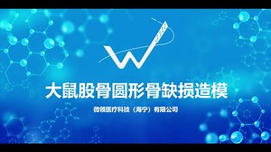 大鼠股骨缺损造模-技术指导