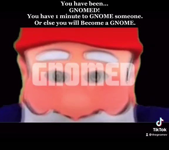 You have officially been GNOMED #gnome #gnomed #memed #rainbowgnome #hypergnome #GN4OME