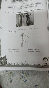 Observe the given image. Find out the male part of the flower.... | Filo