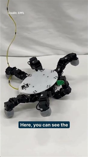 Handy robot can crawl and pick up objects #AI #ArtificialIntelligence #HCI