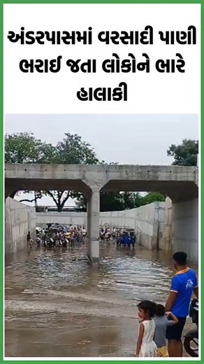 Local Samachar | અંડરપાસમાં પાણી ભરાઈ જતા લોકોને હાલાકી #railwaystation #railway #sabarkantha #idar #himatnagar #gujarat #gujarati #gsrtc #gujaratistatus... | Instagram