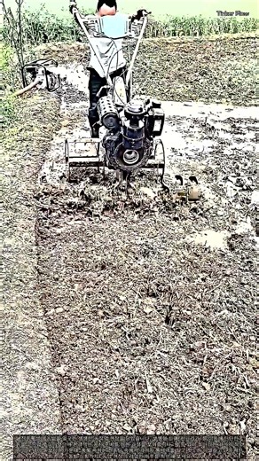 본격적인 농사 준비! 소형 트랙터를 활용한 밭갈이 기초 과정 #worker #process #farming #tractor #agriculture