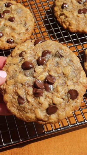 Chocolate Chip Oatmeal Cookies! 🍪 These are a classic chewy, gooey oatmeal cookies full of sweet chocolate. No chill time required. Get the recipe in the comments below ⬇️ OR comment recipe to get it sent directly to your inbox! 🫶 | Taffey Bakery