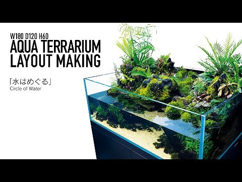 [ADAview] Circle of Water 水はめぐる -180cm Aqua terrarium Layout-