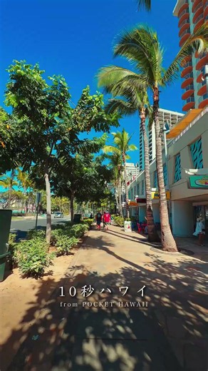 【10秒ハワイ】ワイキキ・カラカウア通り散歩｜10秒でハワイ気分🌴