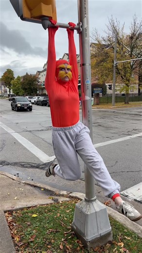 Happy Halloween!! #fyp | Costume Halloween