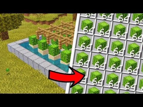 Minecraft PE 1.21: Easy Cactus Farm Tutorial | Automatic XP & Money Farm