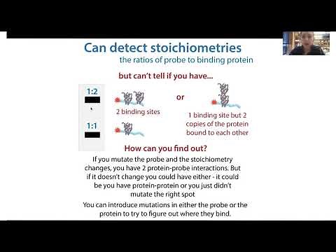 EMSA (gel shift assay) - Electrophoretic Mobility Shift Assay. Theory, pros, cons, & controls!
